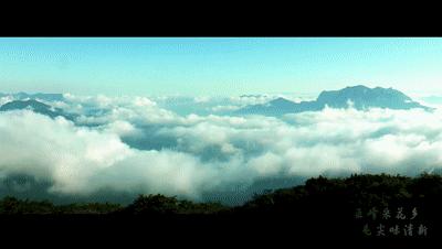 婀栧寳鎵惰传鎺ㄨ崘鑼跺彾,婀栧寳鐪佸唴鎵惰传瀵瑰彛鏀彺瀵规帴