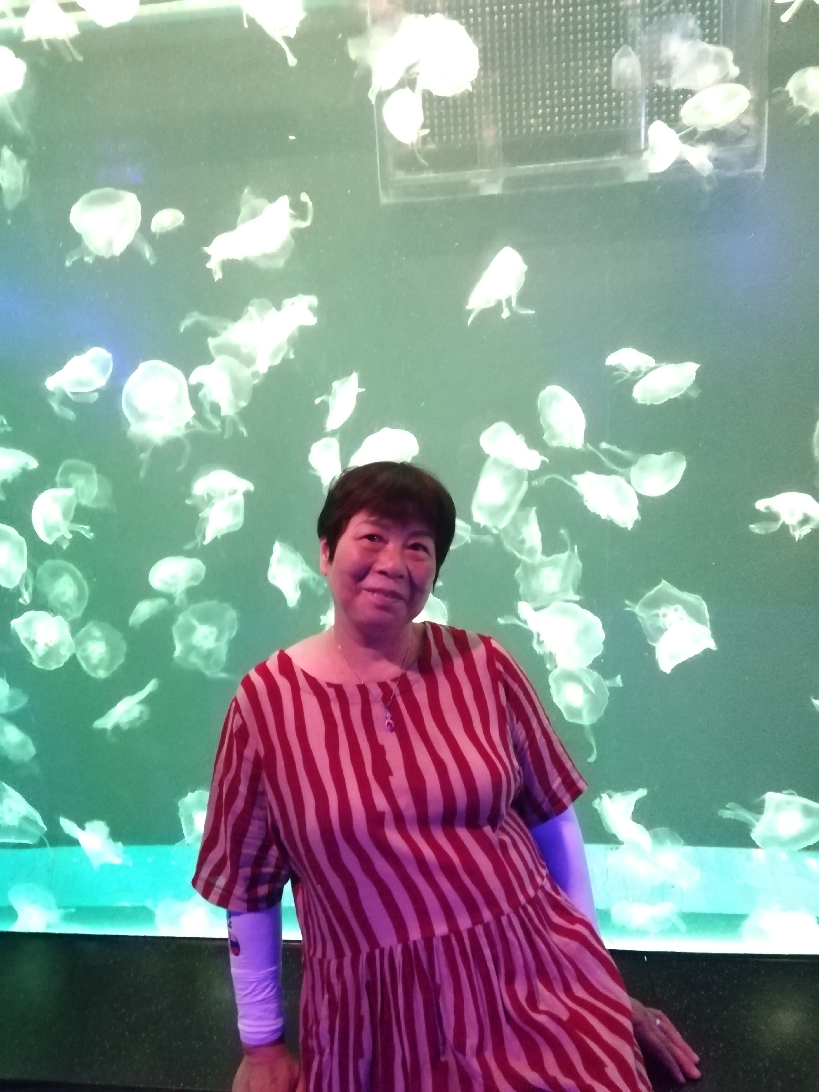 成都极地海昌海洋公园游记,成都海昌海洋公园游攻略