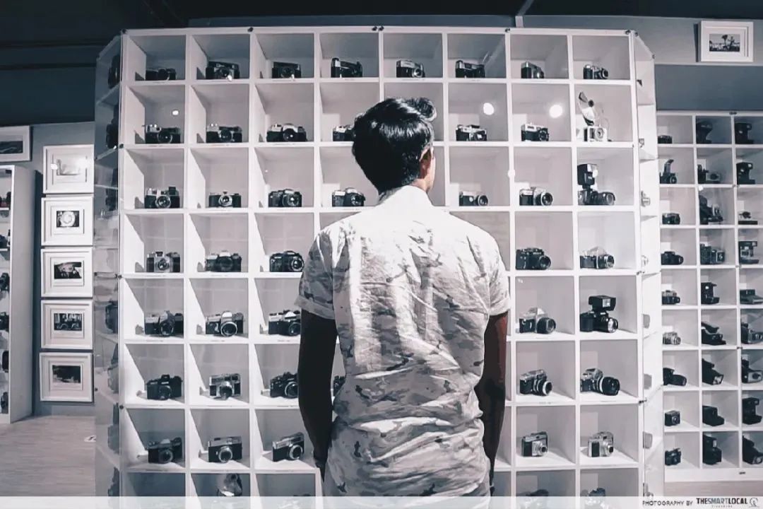 新加坡遛娃免费景点推荐一下,新加坡周末遛娃