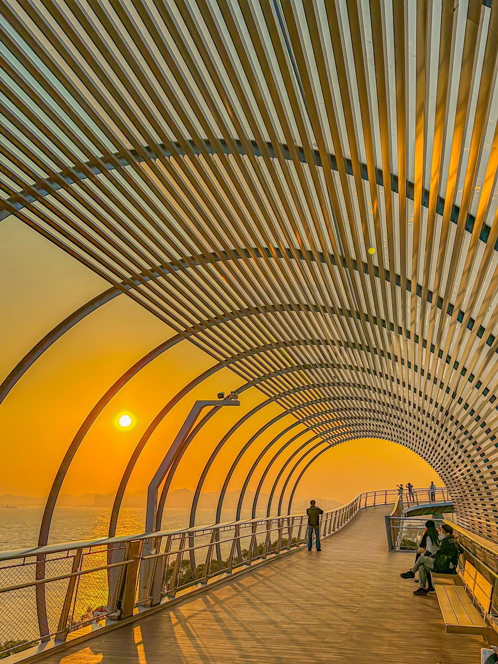 去厦门一定要去的地方,去厦门必须去的几个地方