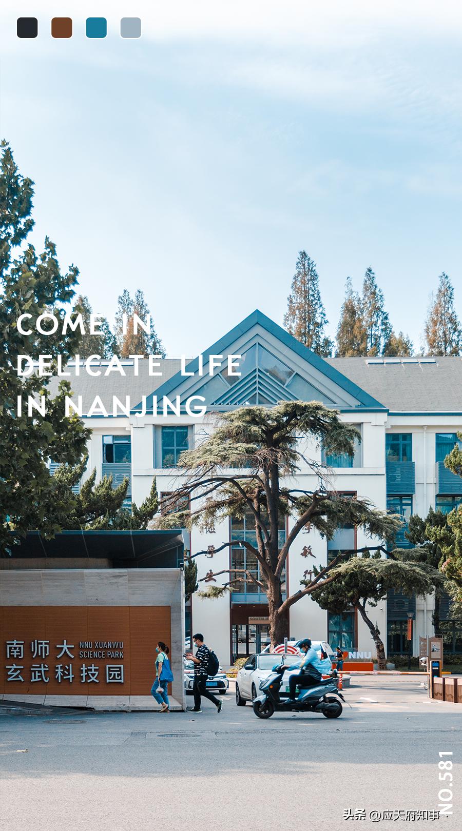 南京板仓街规划图,南京板仓街属于哪个区