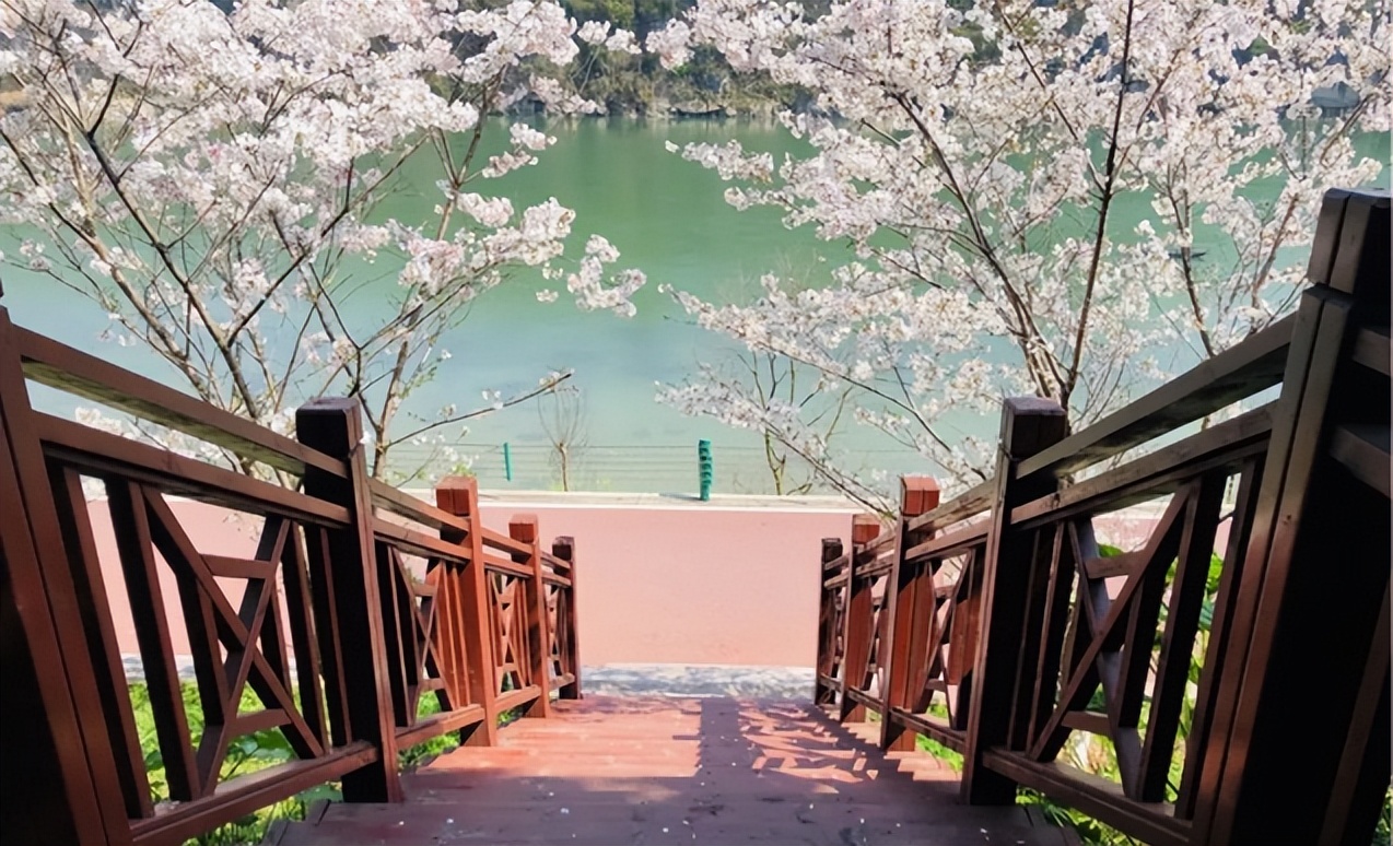 神秘湘西走个春在家吃自助烧烤,神秘湘西走个春