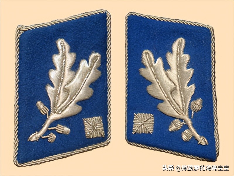 纳粹冲锋队用的什么枪,纳粹德军军衔图解