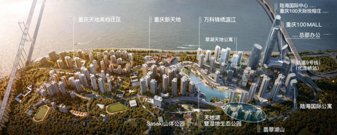 重庆放开限售了吗,目前全面放开的城市