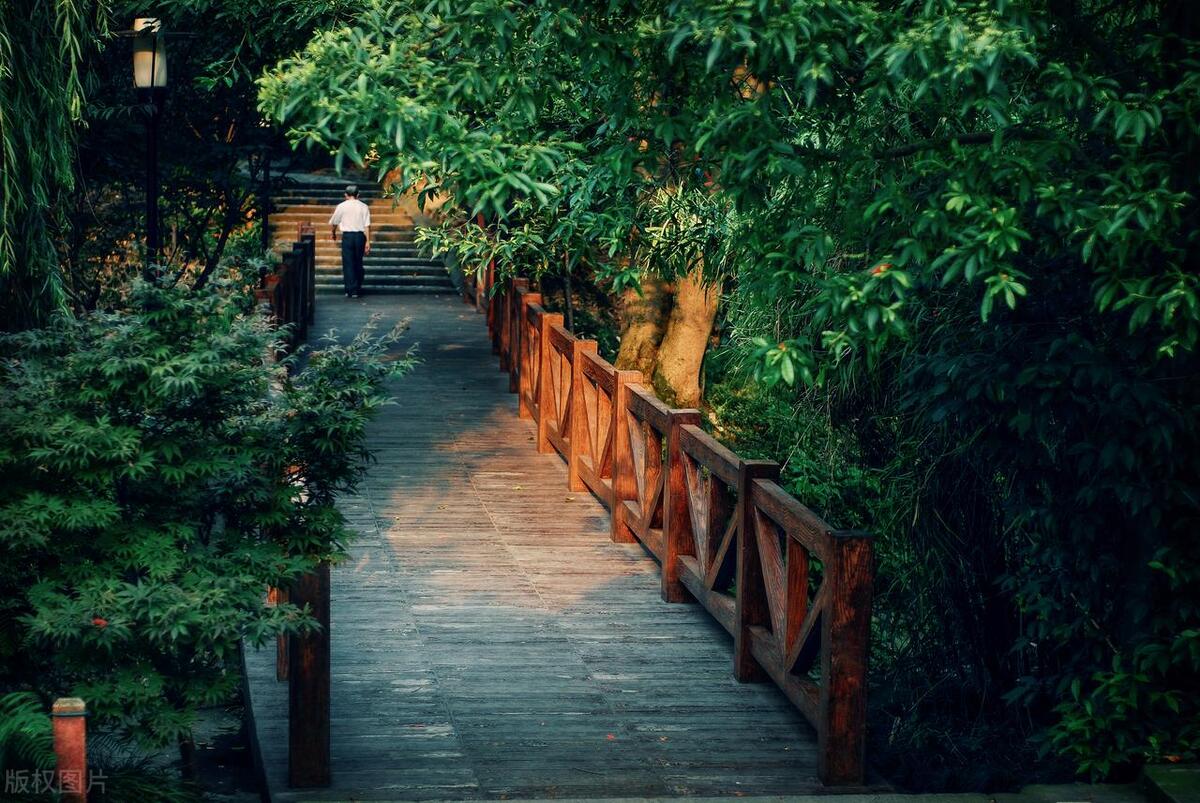 成都免费旅游景点一日游攻略,成都宝藏打卡地大赏