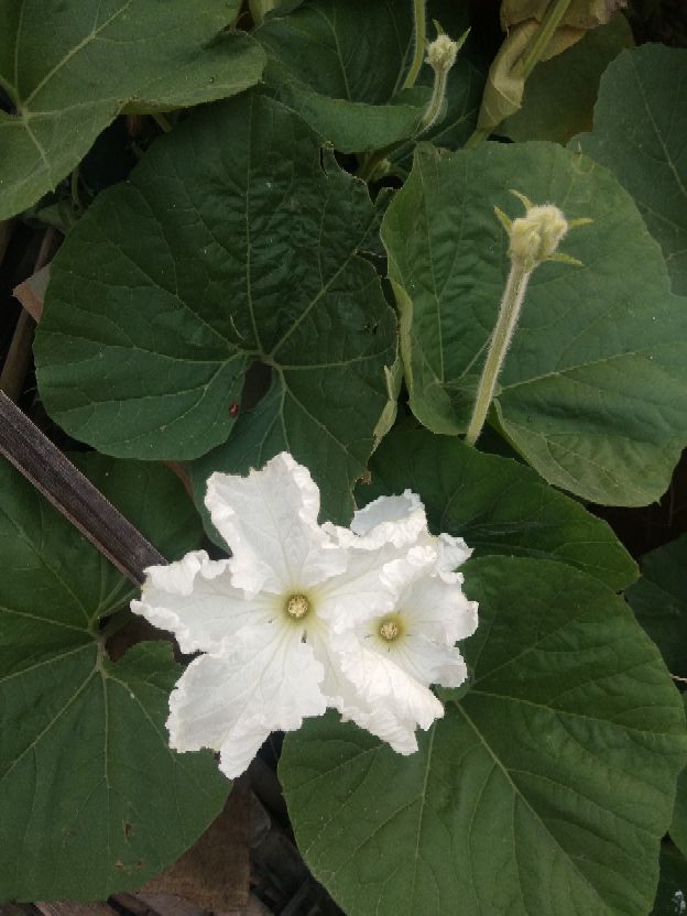 关于灾难夺走生命的感悟,经过意外灾难后的感言