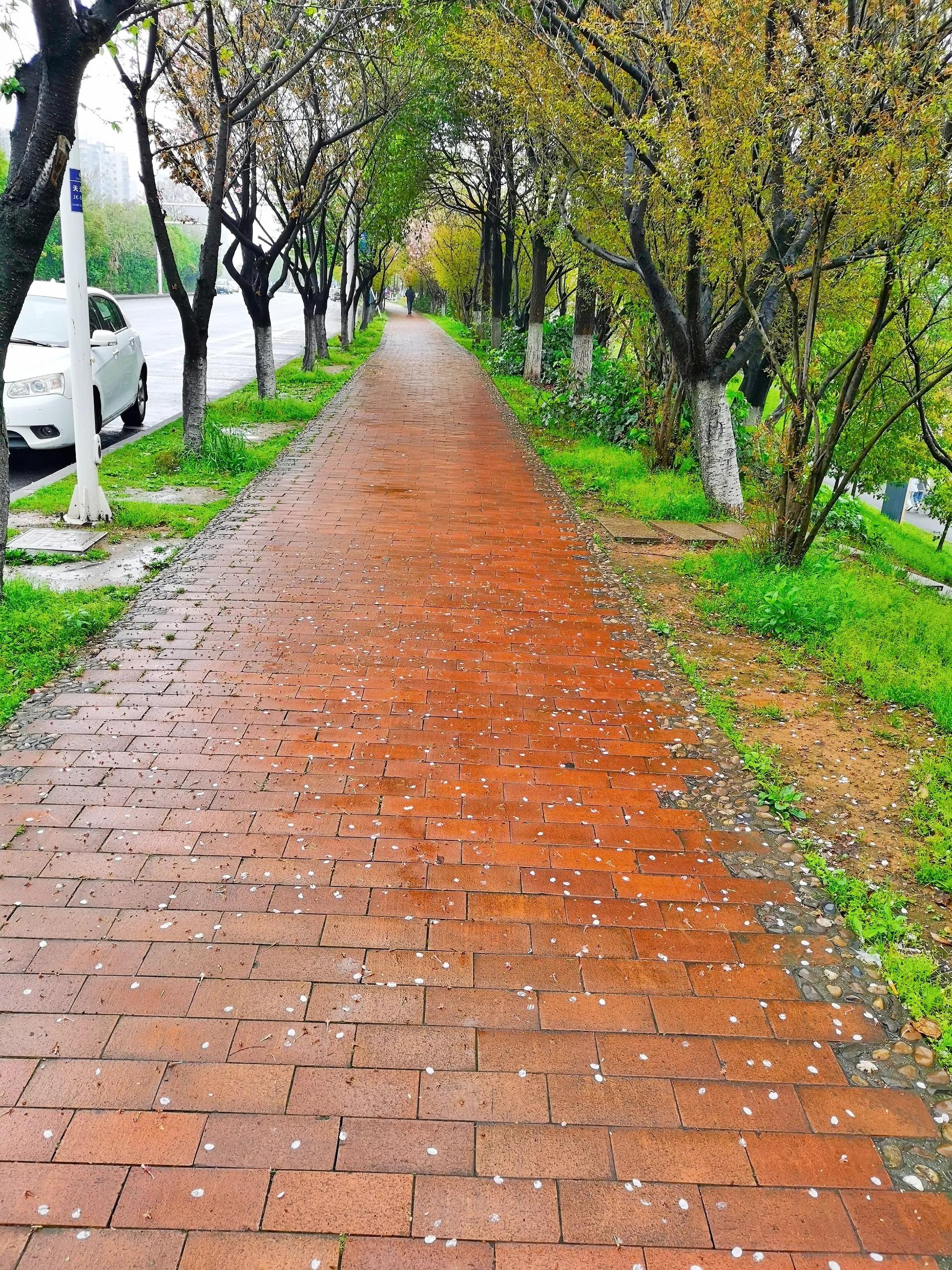 4月雨季，腊肉易长霉，长霉的腊肉到底还能不能吃，让我来告诉你