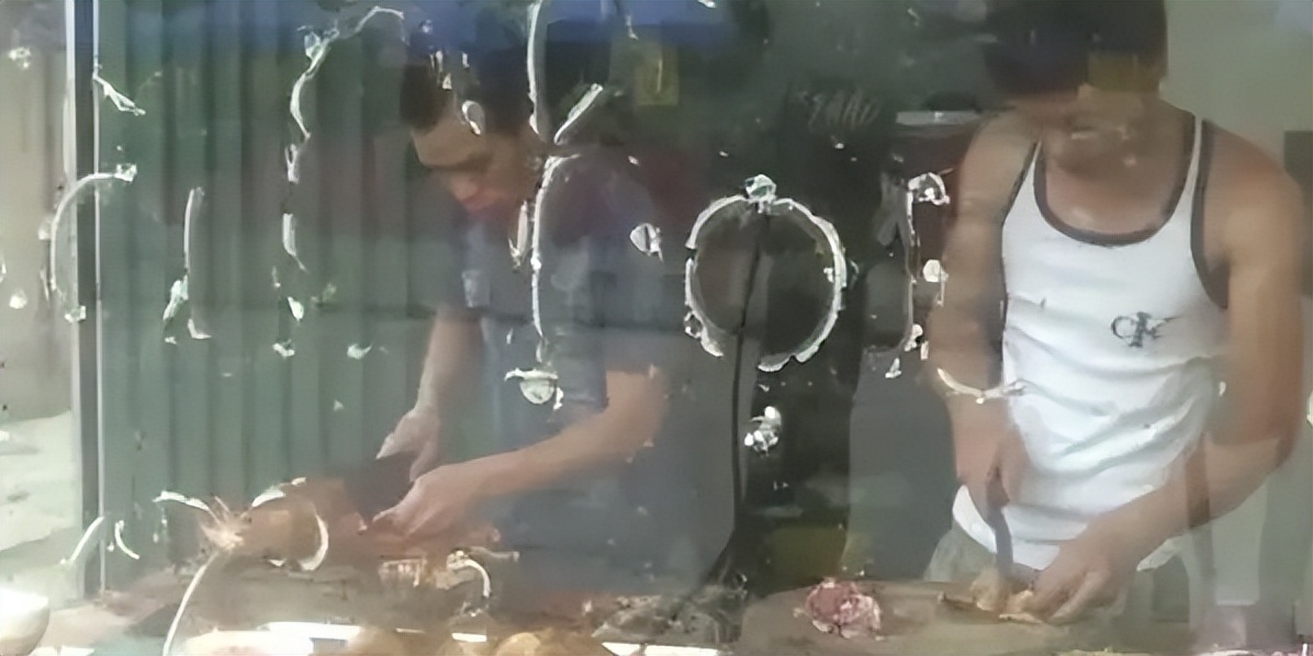 越南为什么没有苍蝇蚊子,越南为什么没有大熊猫