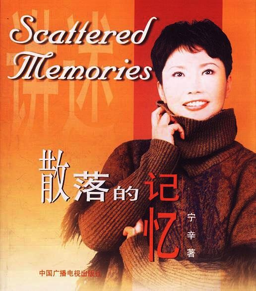 央视主持人宁辛现在去哪里了,央视宁辛近况