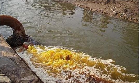 核辐射还敢吃韩国海苔吗,福岛民众监测海鱼核辐射