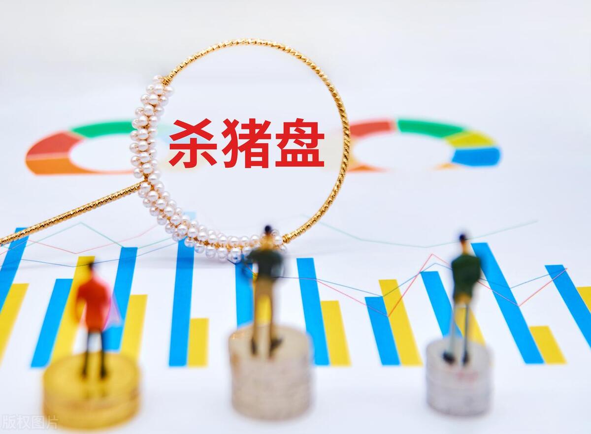 网络诈骗杀猪盘骗局哪里严打,如何看待防不胜防的网络诈骗