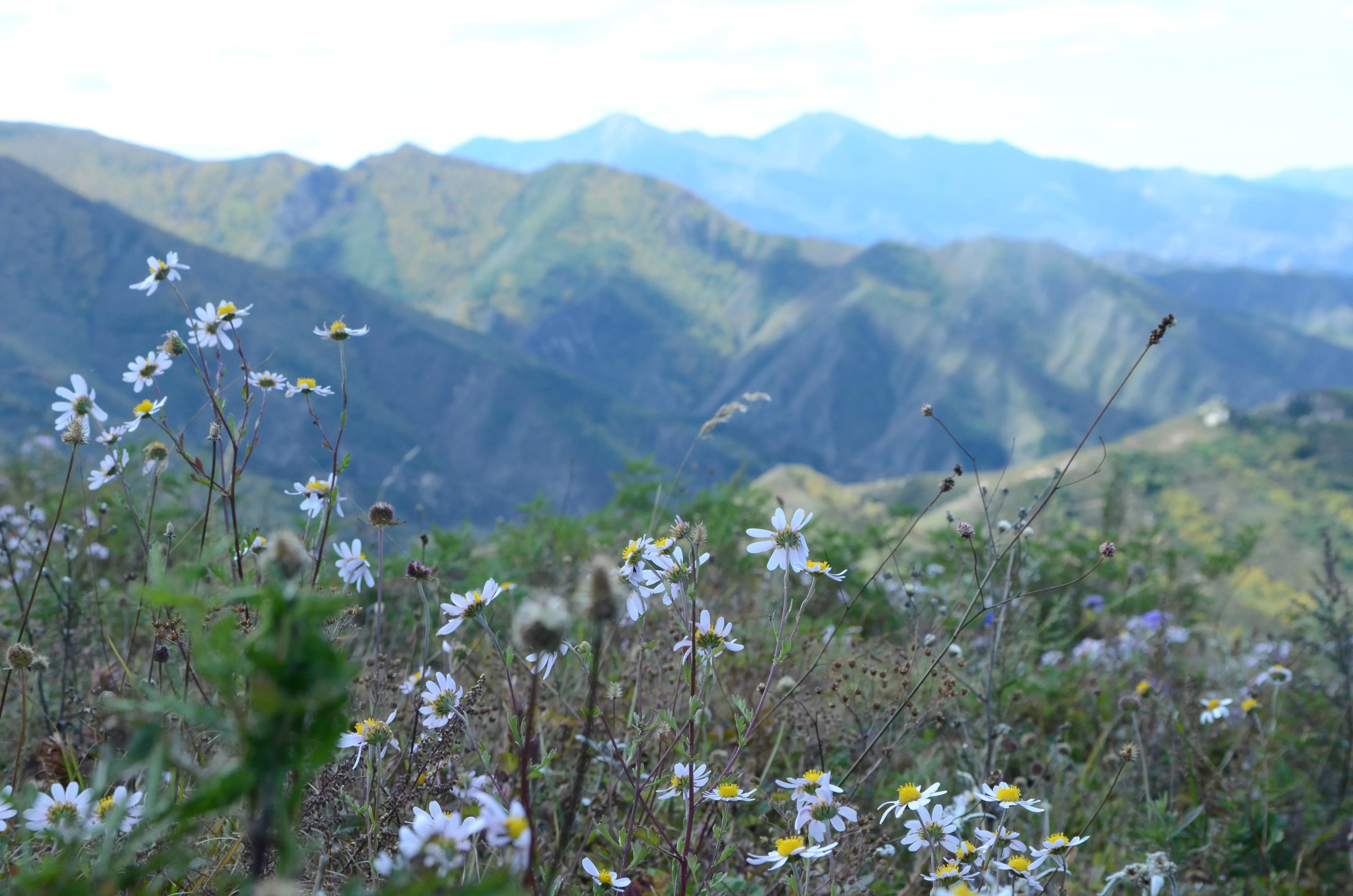 小五台山震撼,小五台山景区最新视频