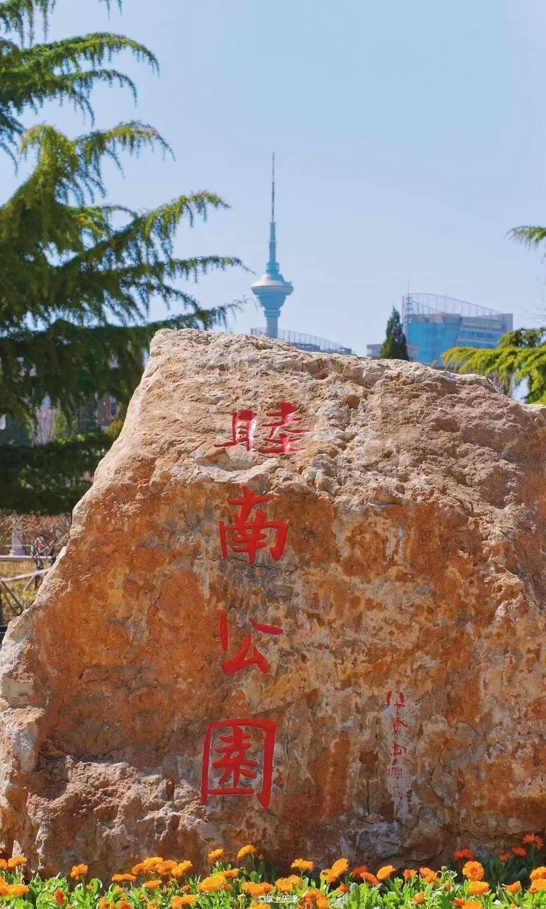 天津和平药业有限公司,天津和平有限公司