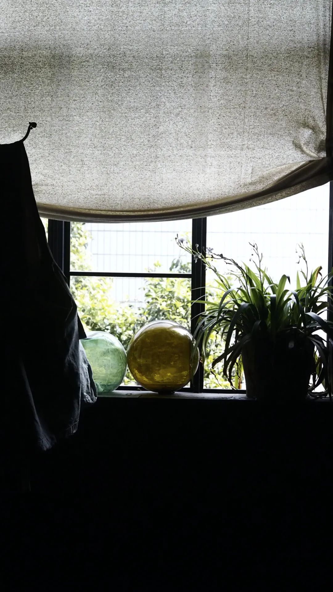 中国年轻人，不买房，只“玩物丧志”