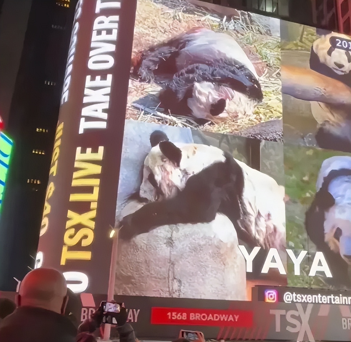 多少人关注丫丫,现在有多少人在关注丫丫