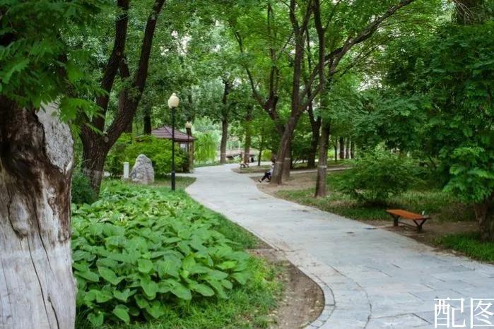 因自身原因家庭破裂，引发的极端处理方式