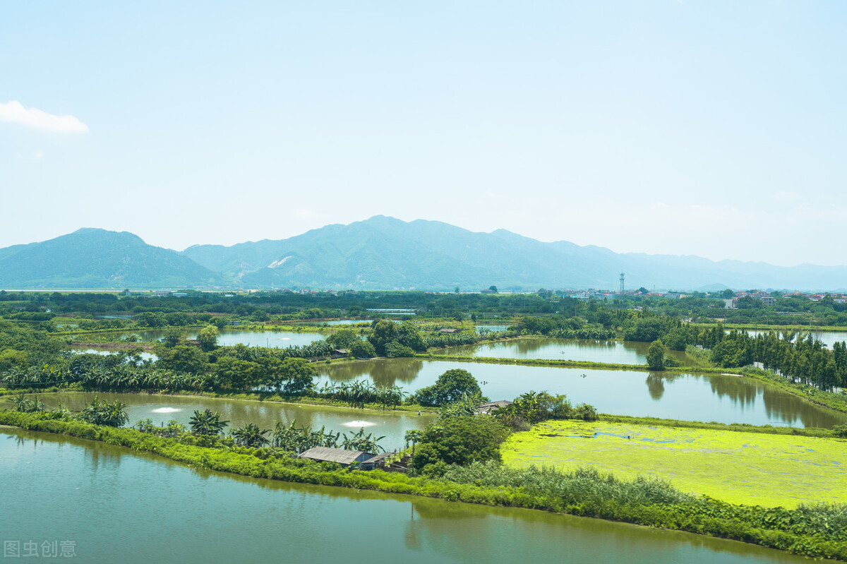 虾塘肥不起来怎么处理,虾塘肥水肥不起来