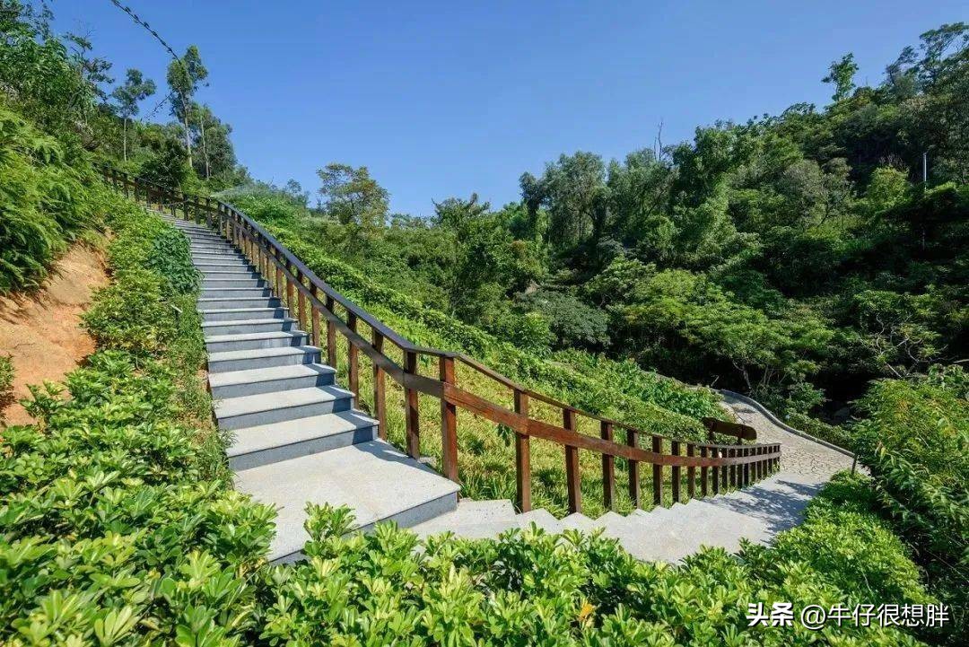 澳门遛娃5天自由行攻略,亲子游香港和澳门哪个更推荐