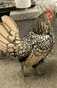 不小心打碎了老婆的护肤品，怎么办？别慌，网友们给你出了好主意