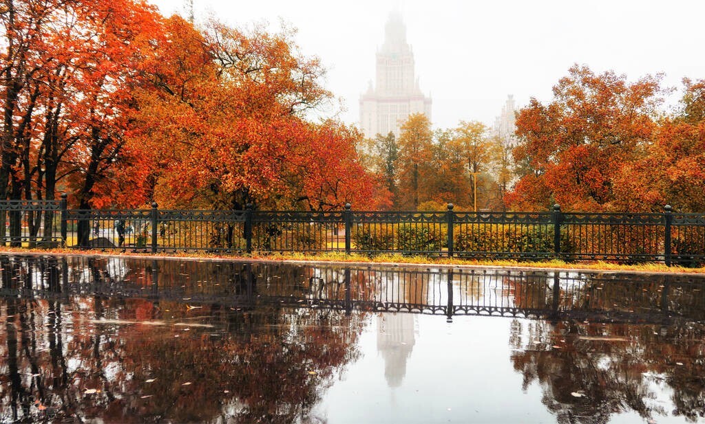 四个冷门专业就业,十大就业热门专业是什么专业