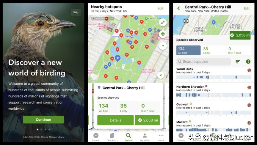 中国鸟类识别app,懂鸟全球鸟类识别app