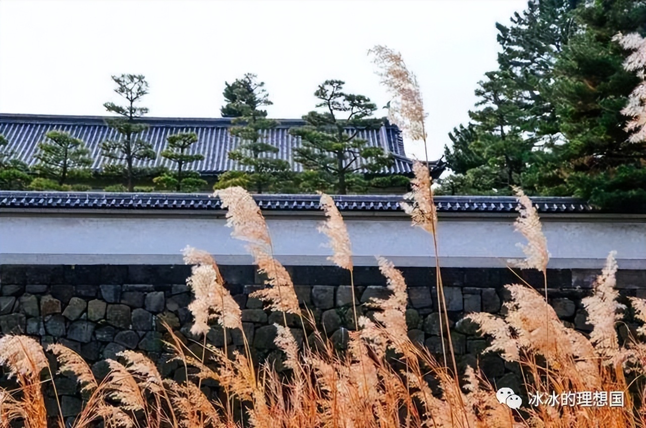 whereisjackma？马云行踪终于曝光了