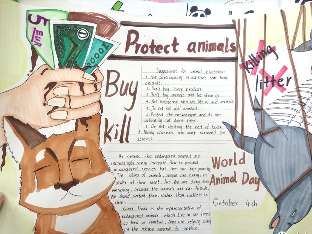 保护动物手抄报英语一等奖五年级,英语保护动物倡议手抄报