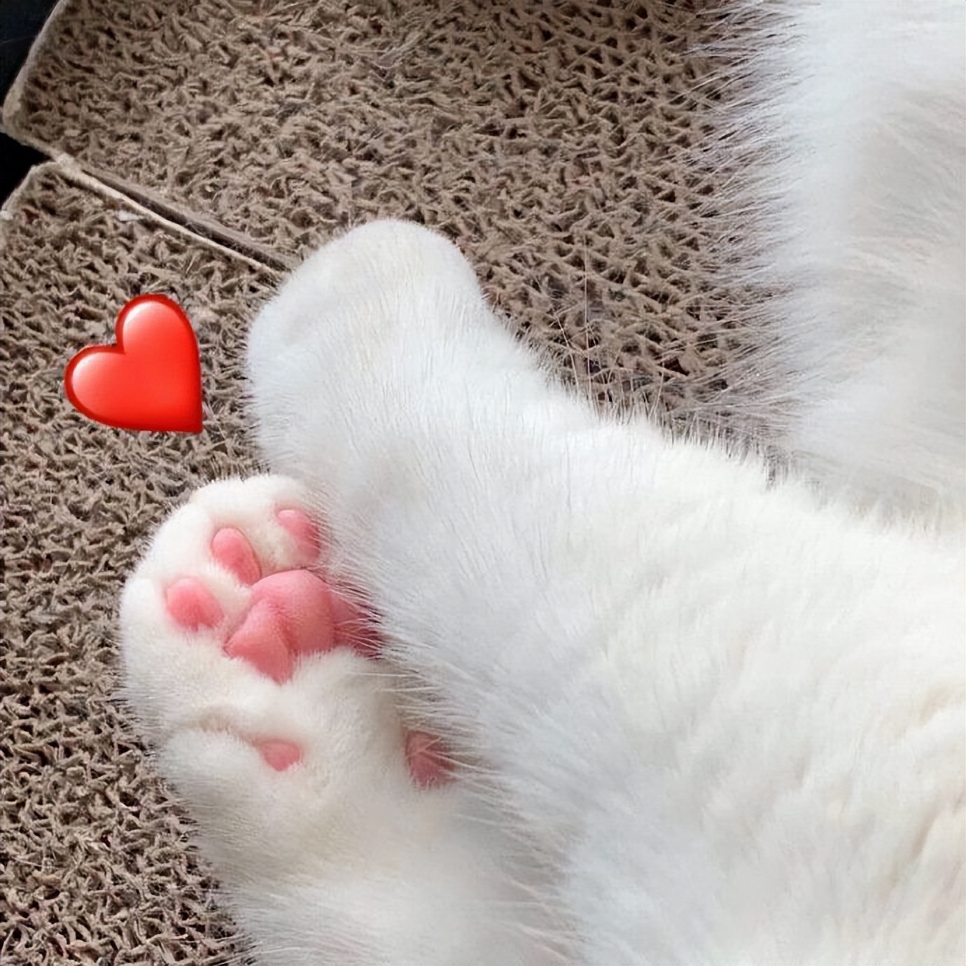 你会挑选护肤品吗,你会选择哪个品牌的面膜