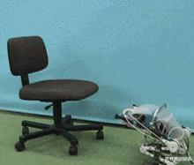 去足疗店按摩的时候遇到了自己的前女友，怎么样才能化解尴尬？哈