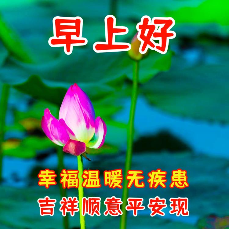 早上好祝你幸福安康祝福语,早上好多福多财吉祥图片
