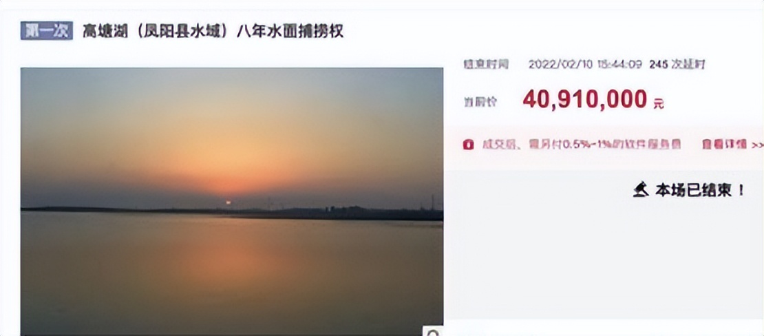 新手玩闲鱼千万别把闲鱼想得太难,如何在闲鱼正确的捡漏