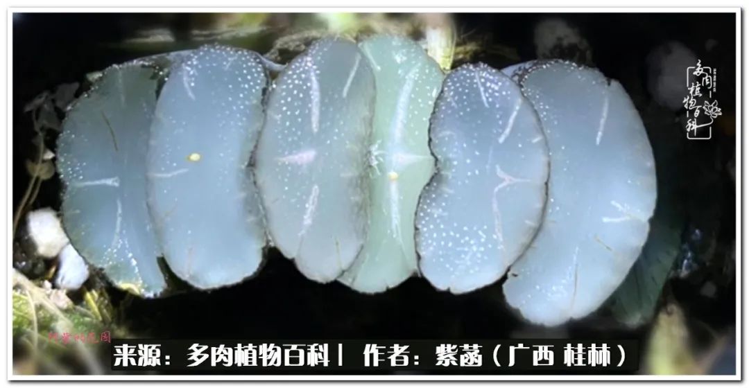 酷暑里的关爱，如十二卷般透亮绵长