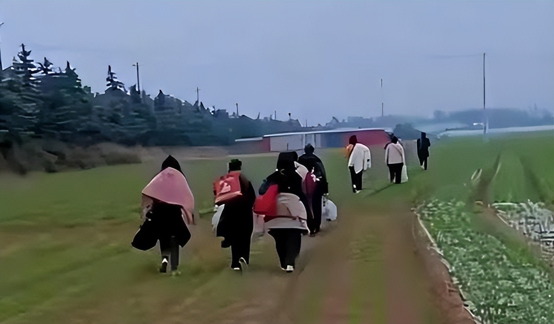 富士康不跑离职单,富士康不跑自离单会怎么样