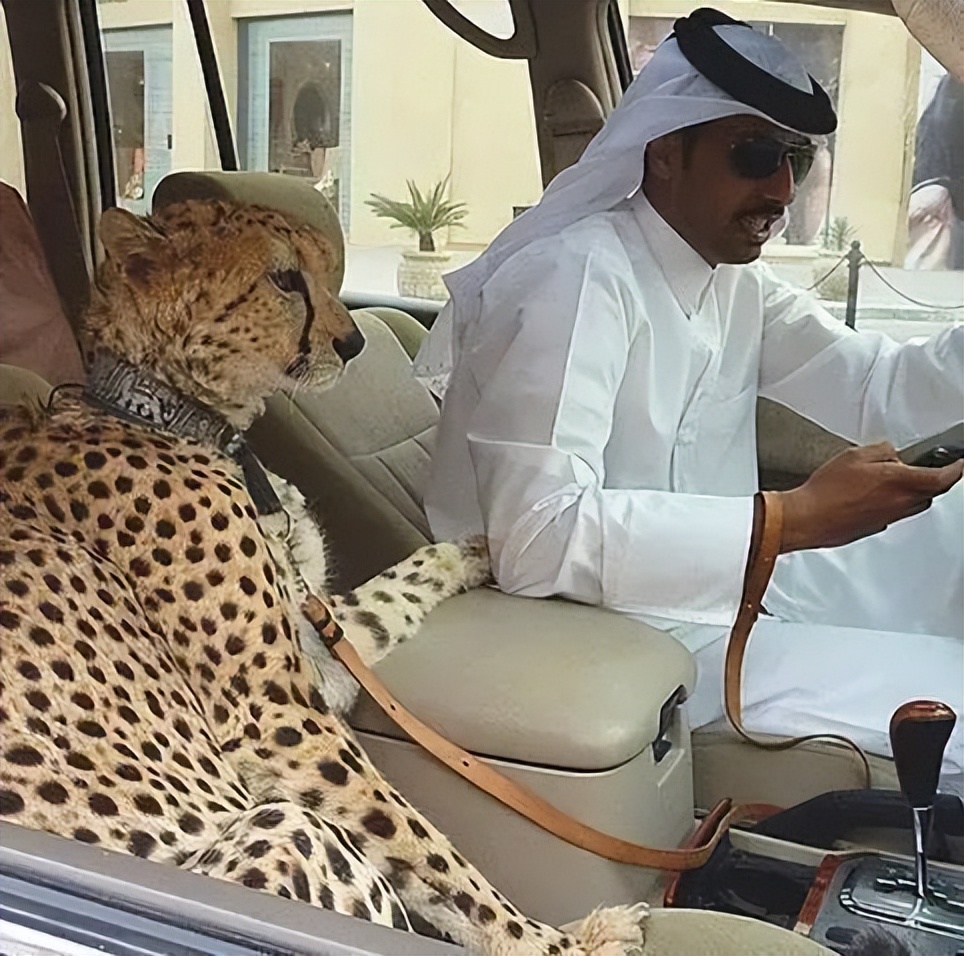 沙特王储收购拳皇开发商,拳皇公司被谁收购了