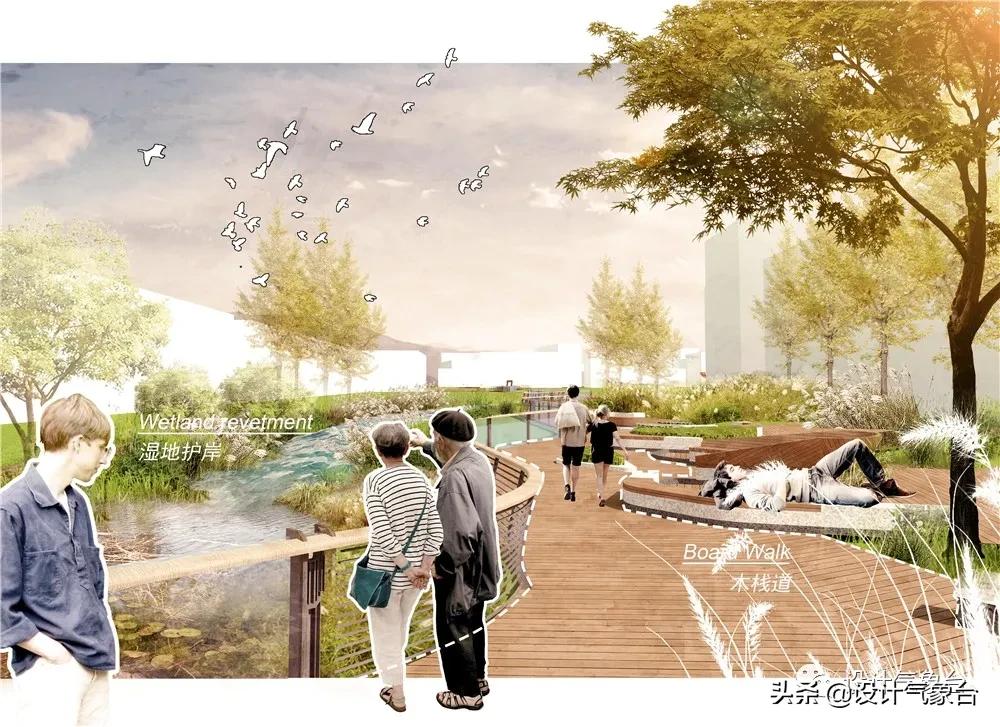 湿地景观效果图,big惜败完整视频