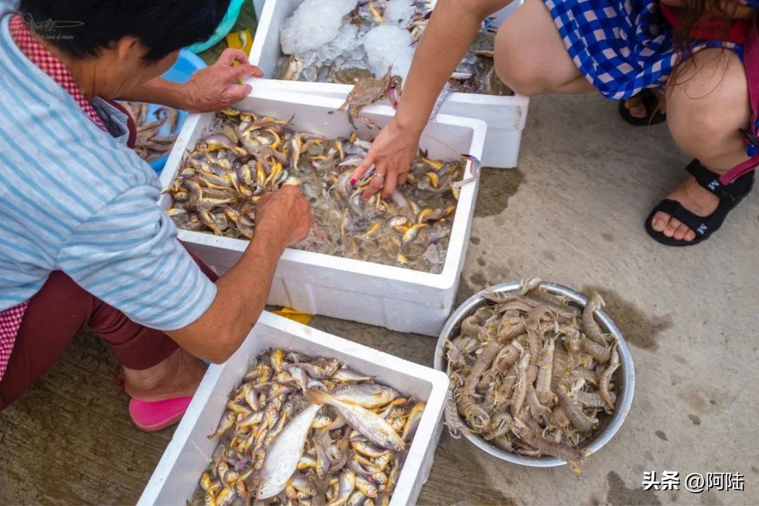 <html>
<head><title>502BadGateway</title></head>
<body>
<center><h1>502BadGateway</h1></center>
<hr><center>nginx</center>
</body>
</html>
<!--apaddingtodisableMSIEandChromefriendlyerrorpage-->
<!--apaddingtodisableMSIEandChromefriendlyerrorpage-->
<!--apaddingtodisableMSIEandChromefriendlyerrorpage-->
<!--apaddingtodisableMSIEandChromefriendlyerrorpage-->
<!--apaddingtodisableMSIEandChromefriendlyerrorpage-->
<!--apaddingtodisableMSIEandChromefriendlyerrorpage-->
