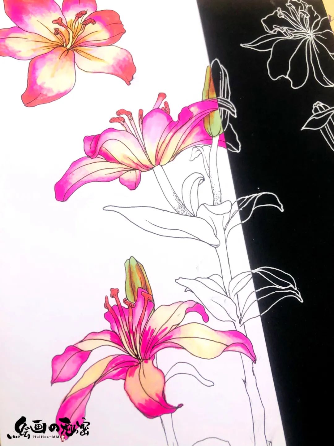 百合花折纸,百合花养殖方法