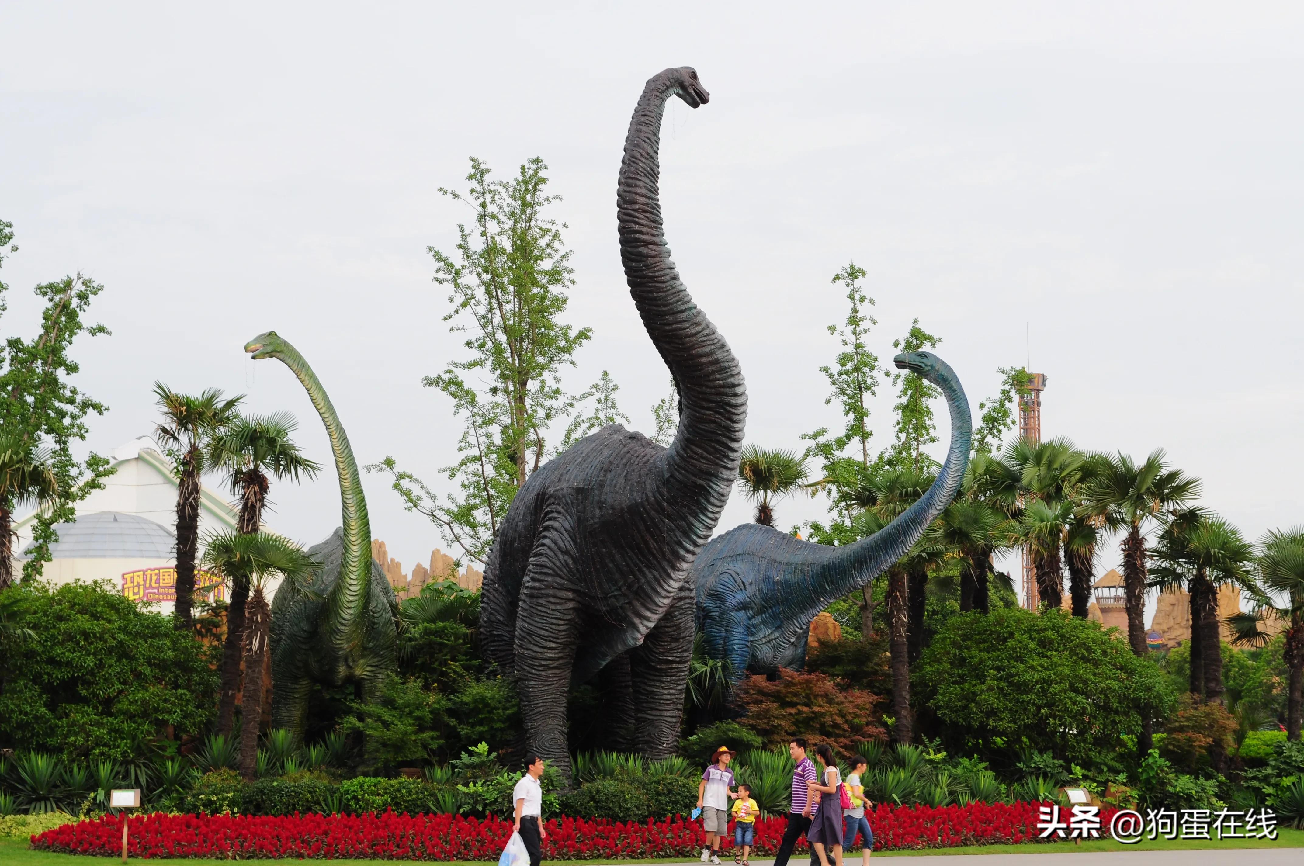 光溜达了：必须待到晚上，常州中华恐龙园体验报告