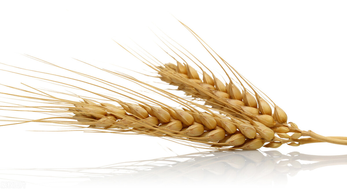 2022年起不会买的东西经常提醒自己