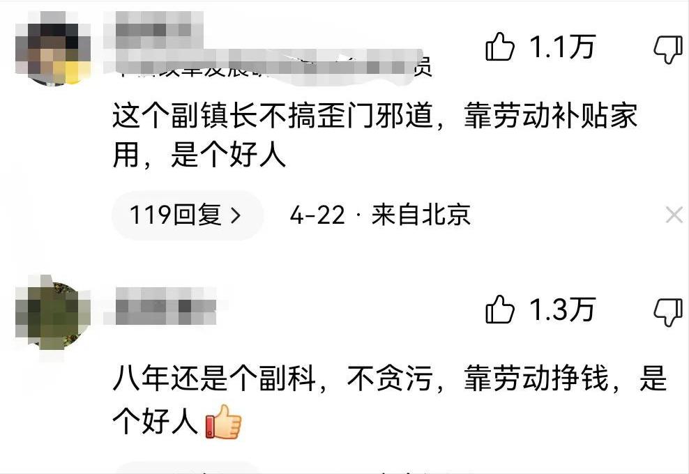 开网约车被处分的副镇长有新职务,安徽副镇长网约车事件后续