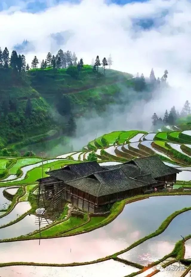 物是人非事事休欲语泪先流下句,物是人非事事休欲语泪先流采访