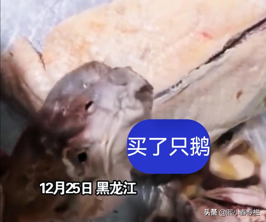 女子买鹅回家发现是鸭子,女子回家买了个鹅