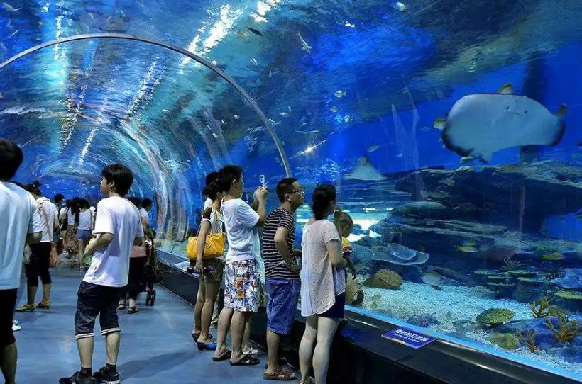 郑州周末遛娃踏青好去处,郑州春季带孩子游玩好去处推荐