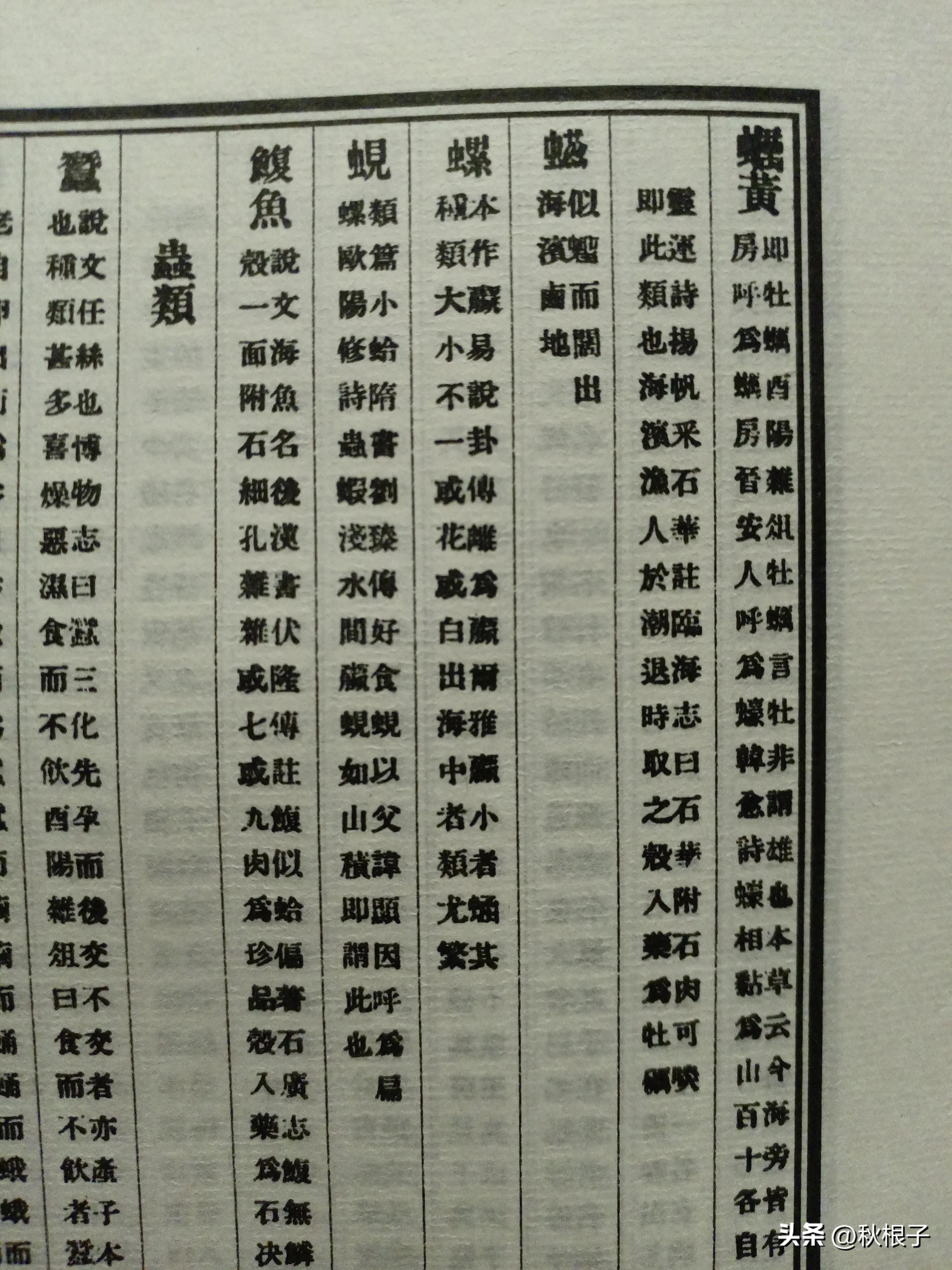 锦州沿海曾经有过一种贝类——“蚩”