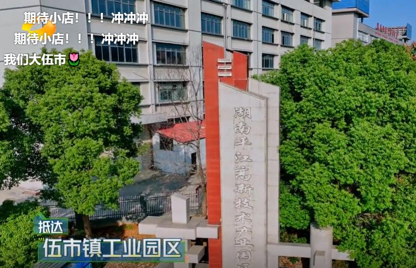 汪涵套路杨迪完整版,汪涵杨迪综艺节目有什么