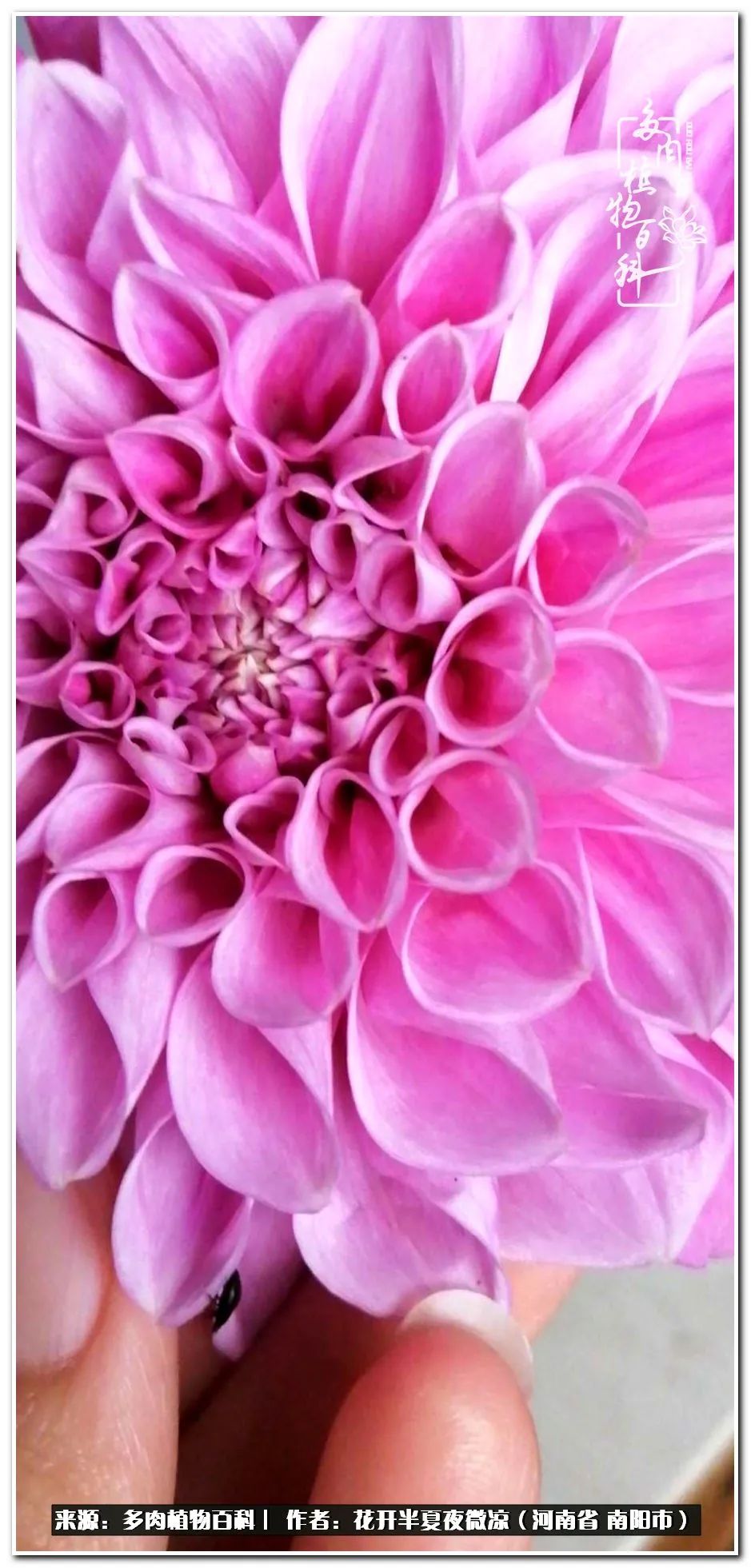 万事开头难只要坚持才有收获,万事开头难只要肯干就会有结果