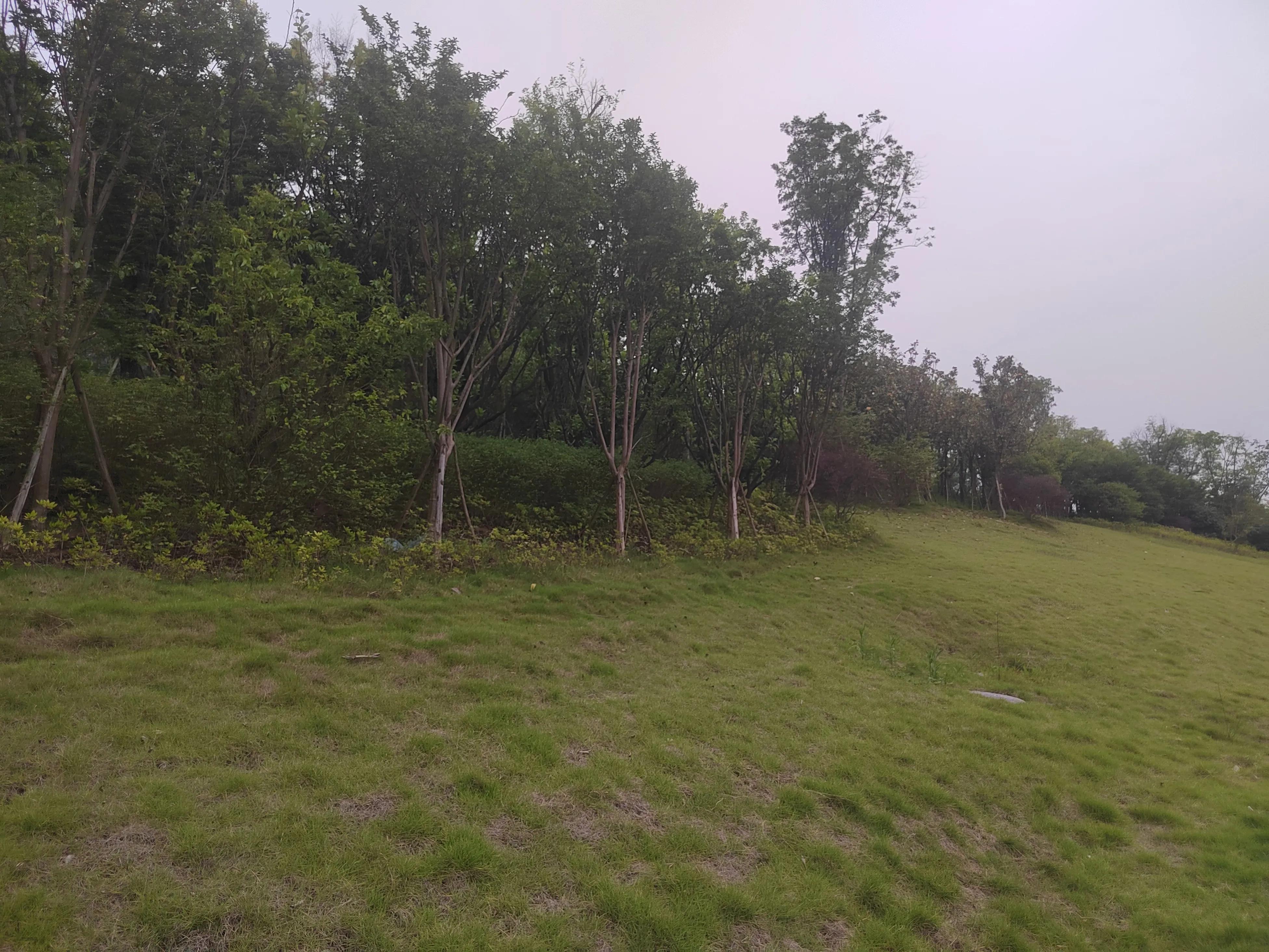 怎样经营一个幸福家庭,如何经营家庭才会幸福