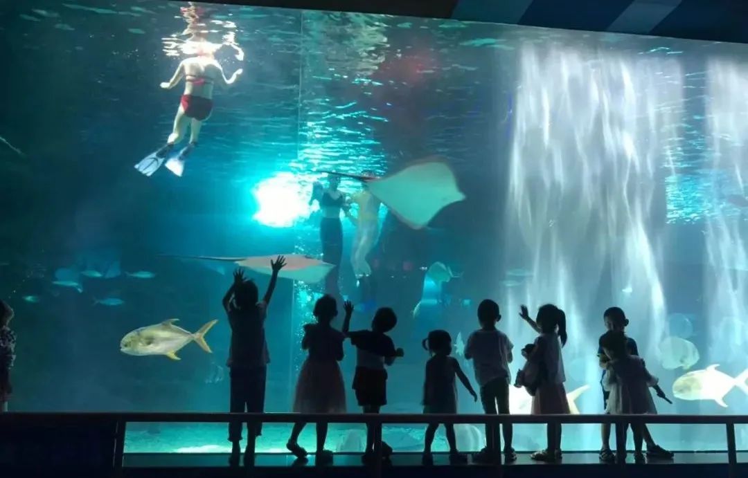 欧乐堡海洋极地公园攻略,欧乐堡最全游玩攻略请收好