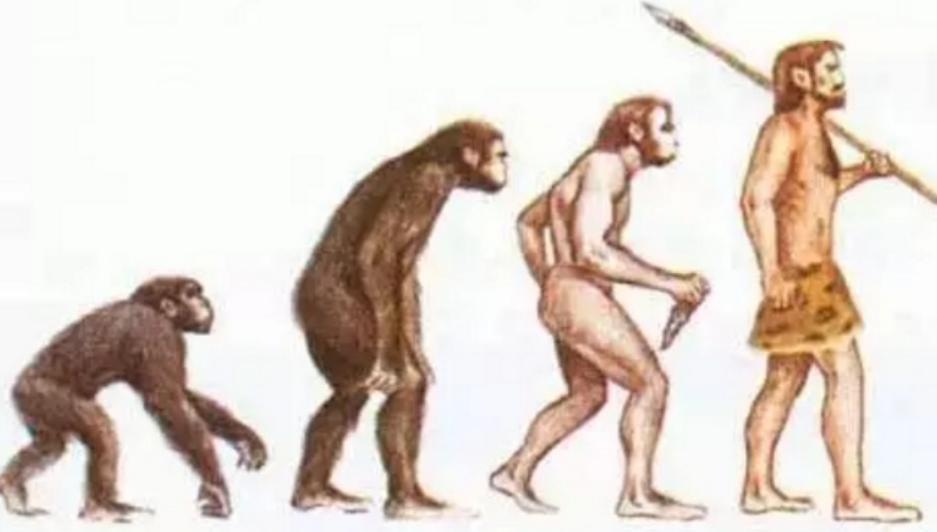 华夏子孙的3个印记:门牙、褶子和脚趾,与生俱来且无法抹去