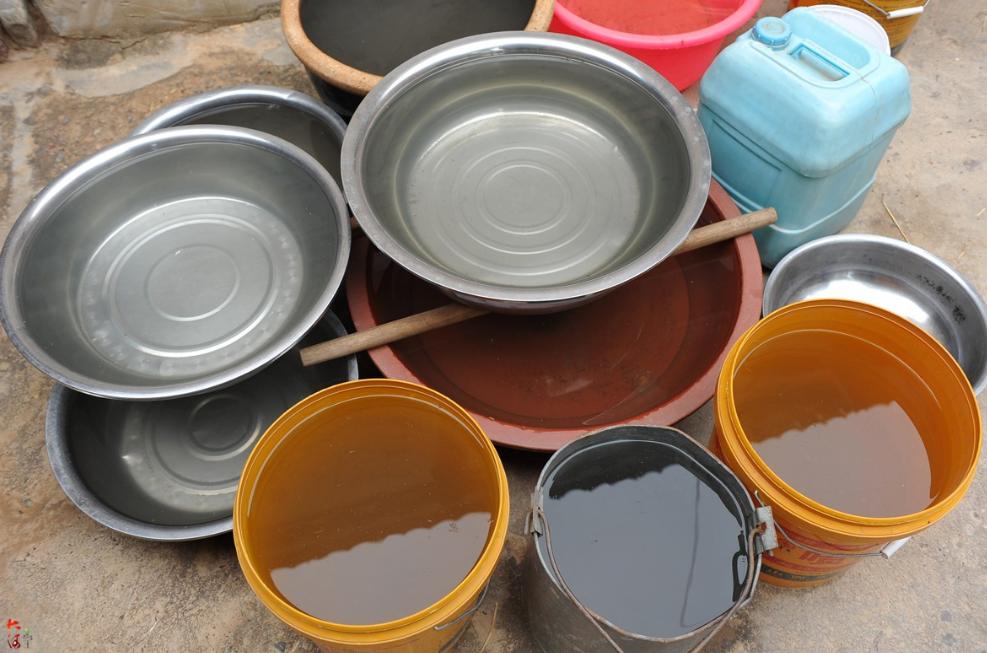 如何正确的给君子兰浇水,君子兰长箭时怎样浇水